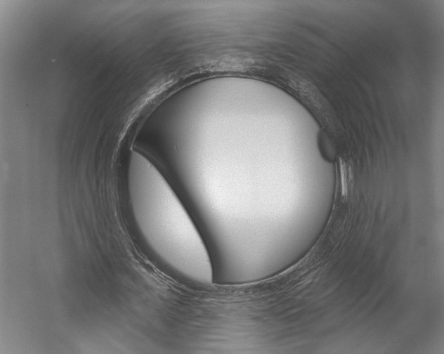 X0000057090675200509090939