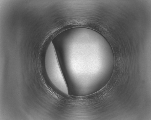 X0000057090688200509090939