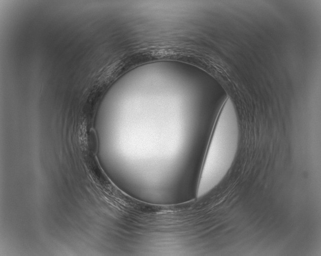 X0000057090700200509090939