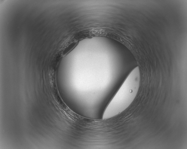 X0000057090712200509090939