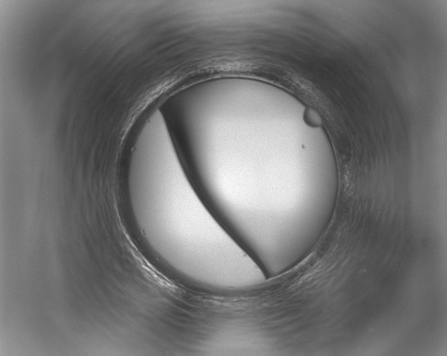 X0000057090725200509090938