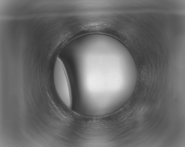 X0000057090739200509090938