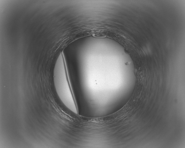 X0000057090756200509090938