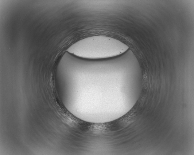 X0000057090765200509090939