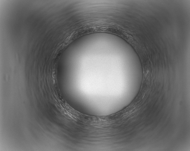 X0000057090772200509090938