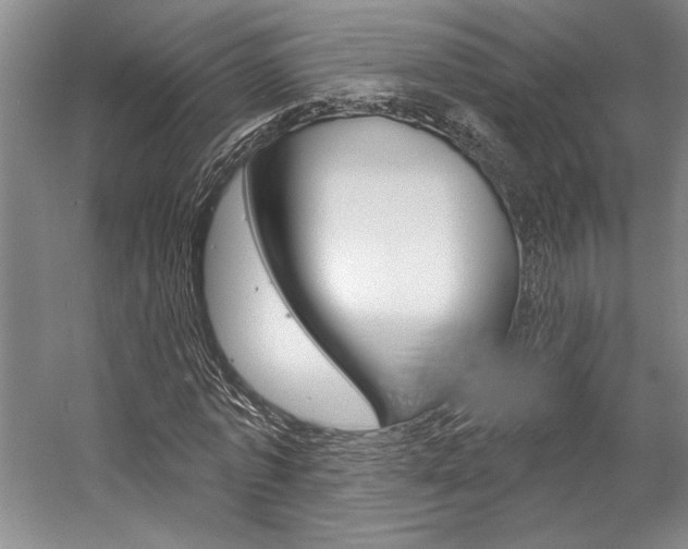 X0000057090773200509090938