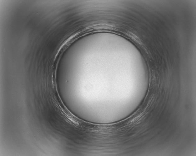 X0000057090782200509090938