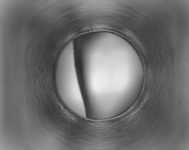 X0000057090785200509090937