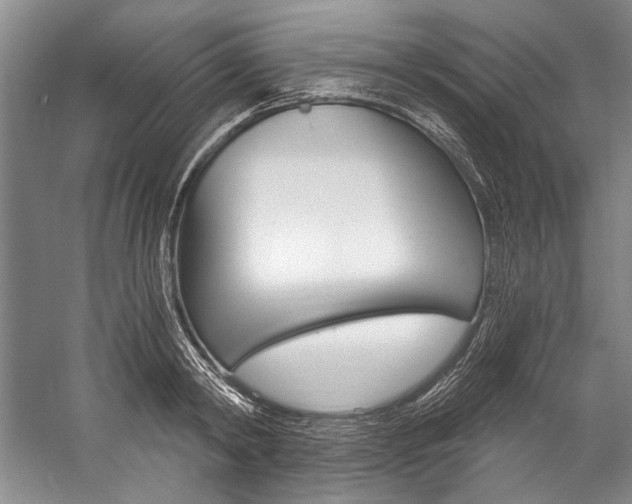 X0000057090798200509090937
