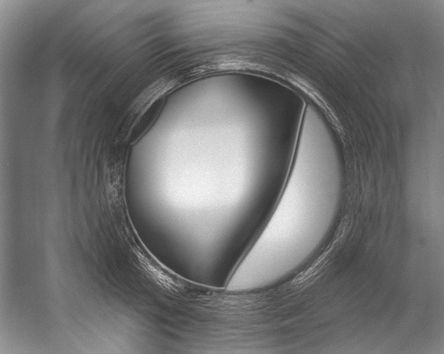 X0000057090801200509090937