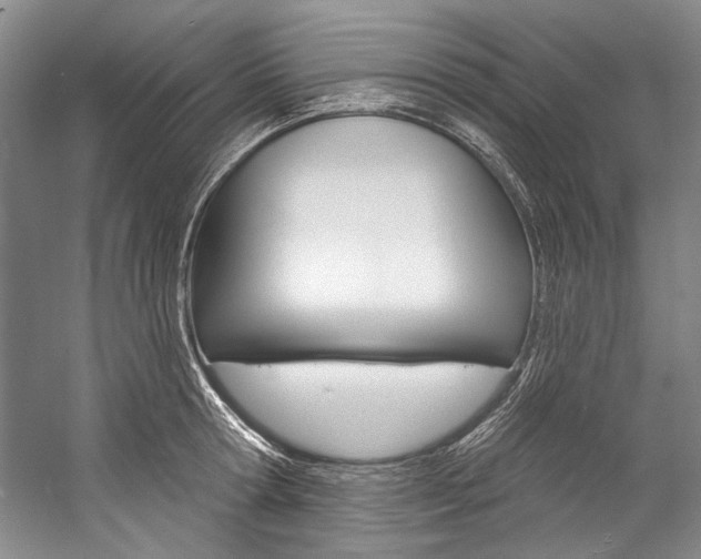 X0000057090802200509090937