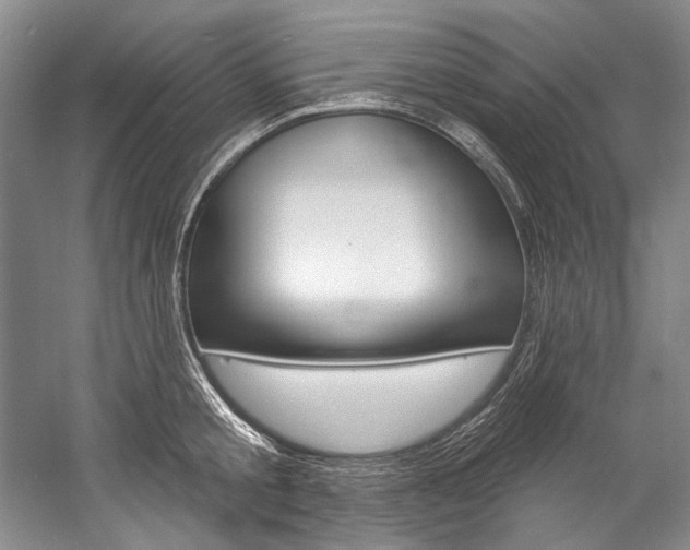 X0000057090805200509090937