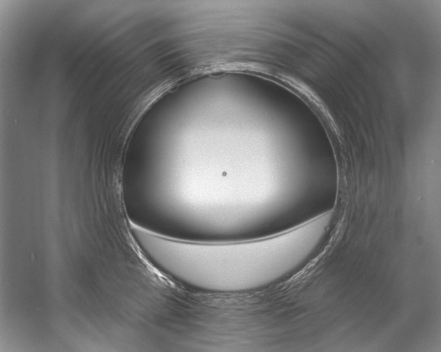 X0000057090809200509090937
