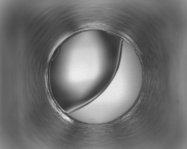 X0000057090812200509090937
