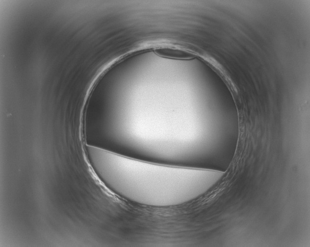X0000057090815200509090937