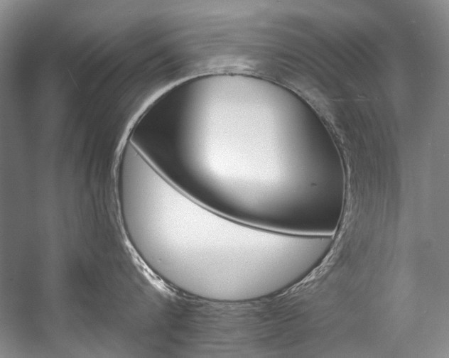 X0000057090816200509090937