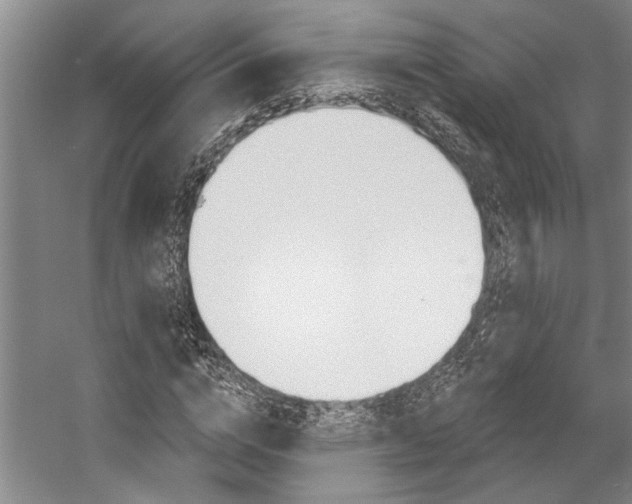 X0000057090824200509090936