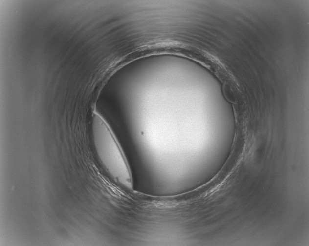 X0000057090825200509090936