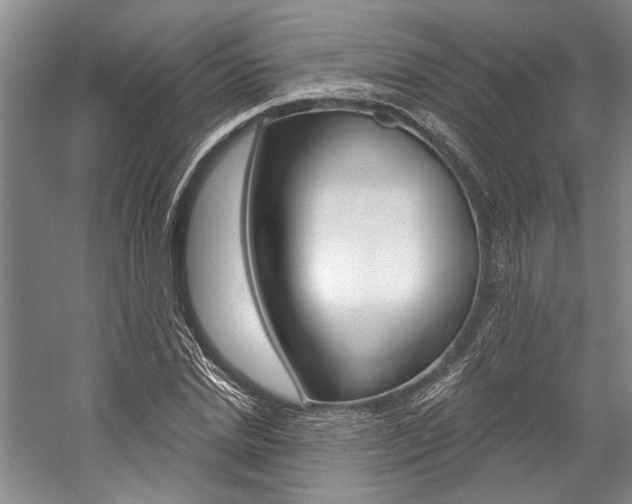 X0000057090830200509090936