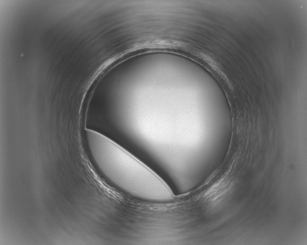 X0000057090837200509090936