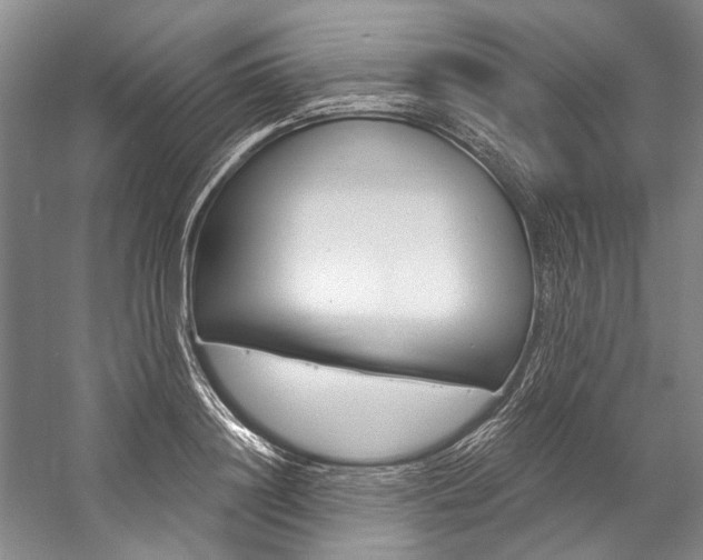 X0000057090844200509090937