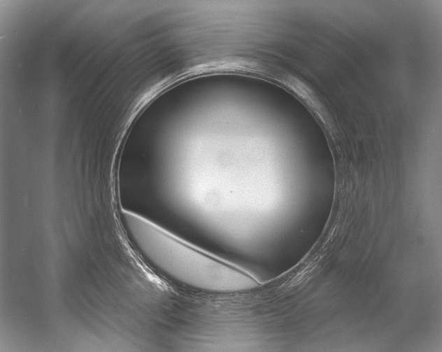 X0000057090858200509090937
