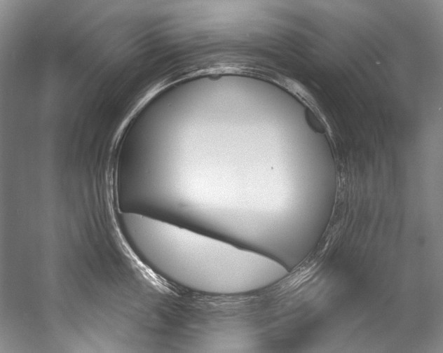 X0000057090859200509090937