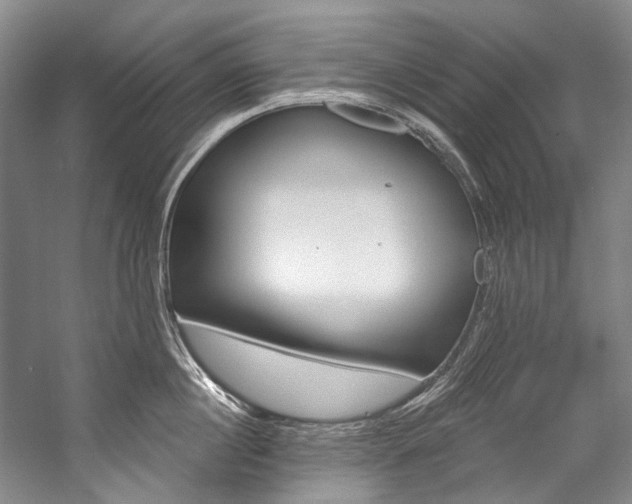 X0000057090860200509090937