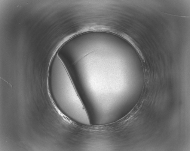 X0000057090861200509090937