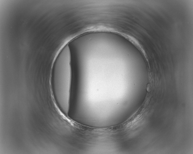 X0000057090863200509090937