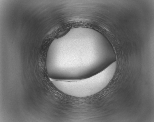 X0000057090869200509090936