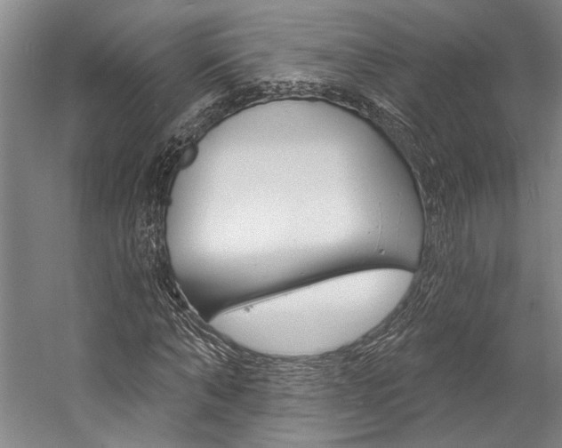 X0000057090870200509090936