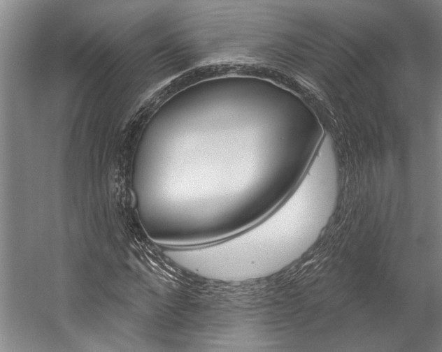 X0000057090872200509090936