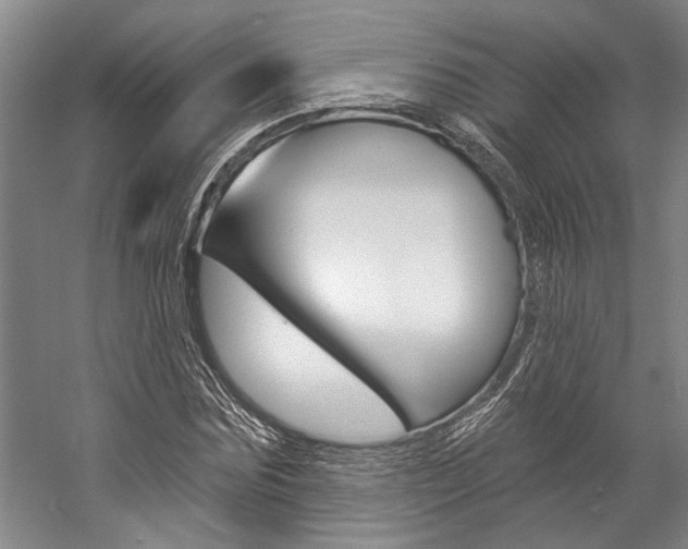 X0000057090875200509090936