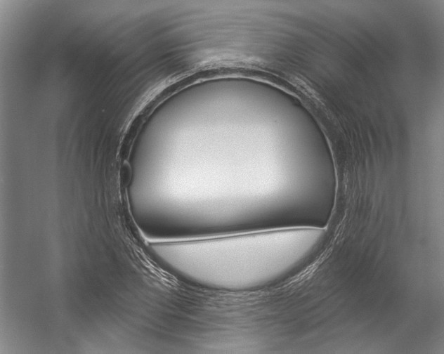 X0000057090877200509090936
