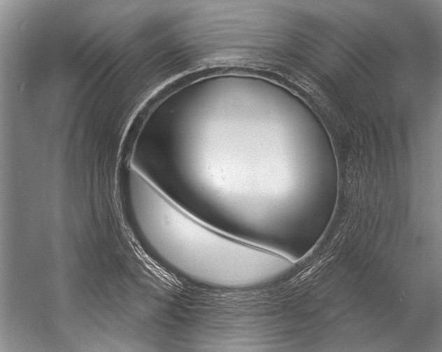 X0000057090880200509090936