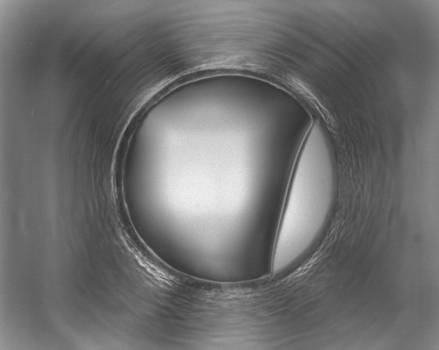 X0000057090884200509090936