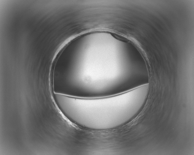 X0000057090910200509090935