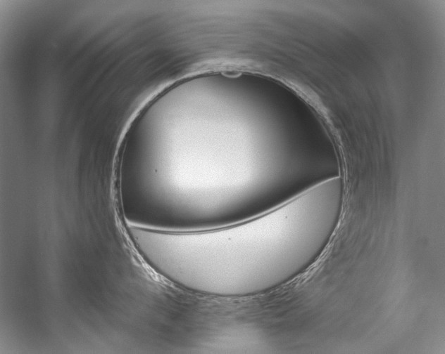 X0000057090912200509090935