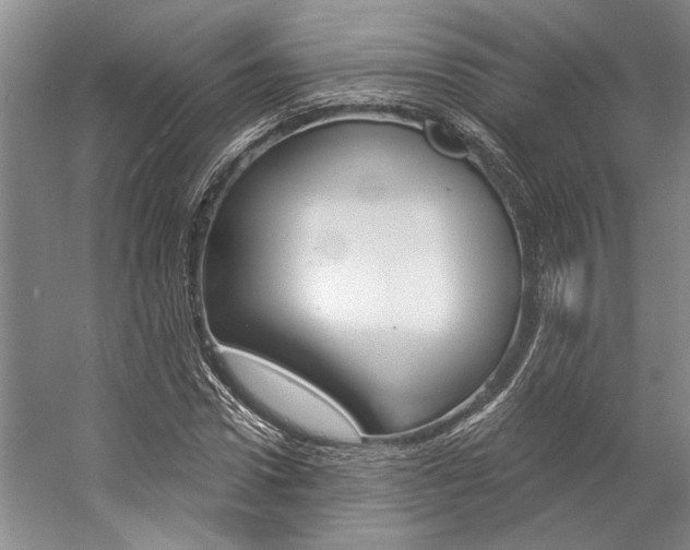 X0000057090922200509090935