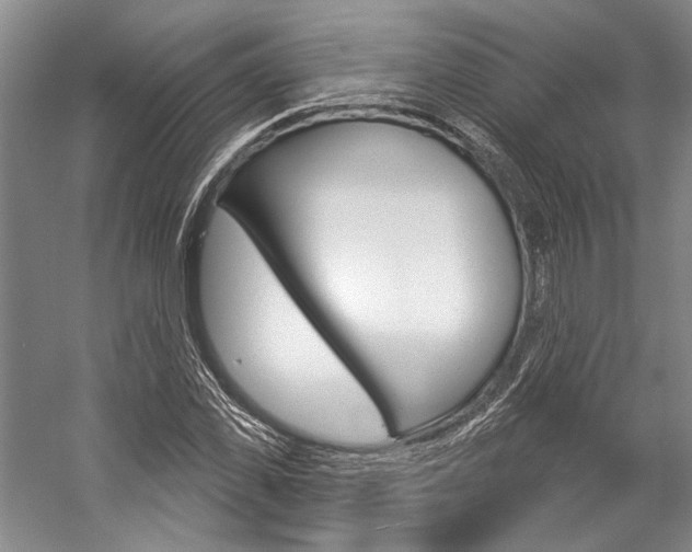 X0000057090925200509090935