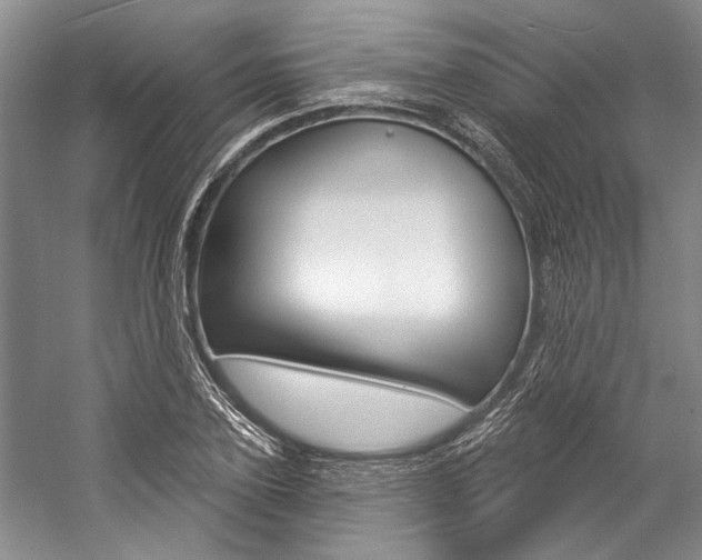 X0000057090931200509090935