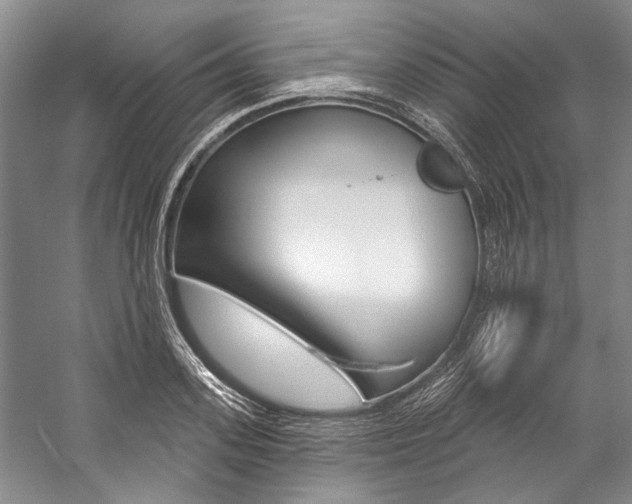 X0000057090939200509090935