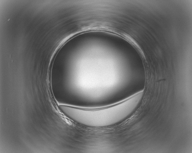 X0000057090956200509090935