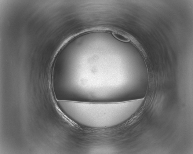 X0000057090958200509090935