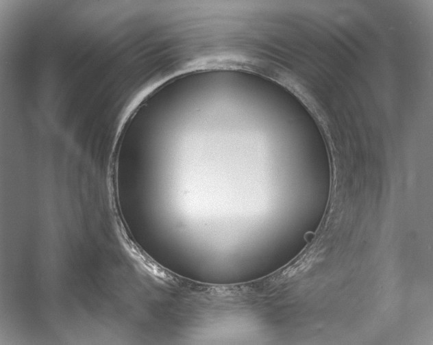 X0000057090960200509090935