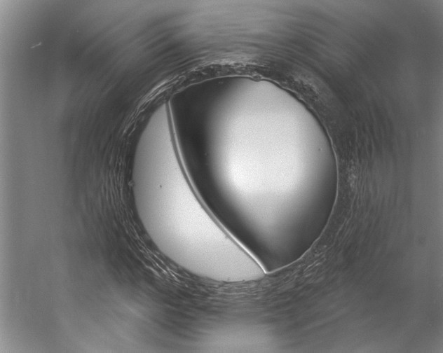 X0000057090968200509090934