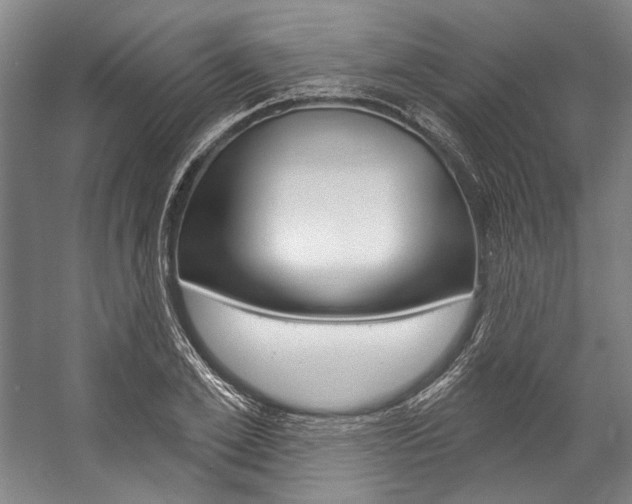 X0000057090981200509090934