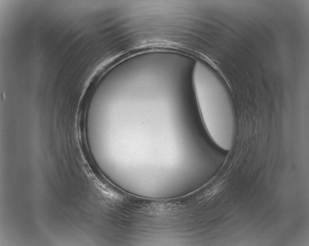 X0000057090987200509090934