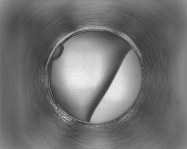 X0000057091004200509090934